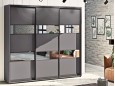 Шкаф-купе Стандарт 25.1 трехдверный H-210