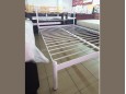 Металлическая кровать Бегония 13