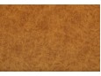 Camel_12