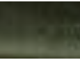 2295